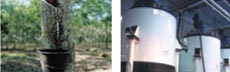 Talalay Process start